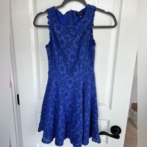 Blue Lace Skater Dress